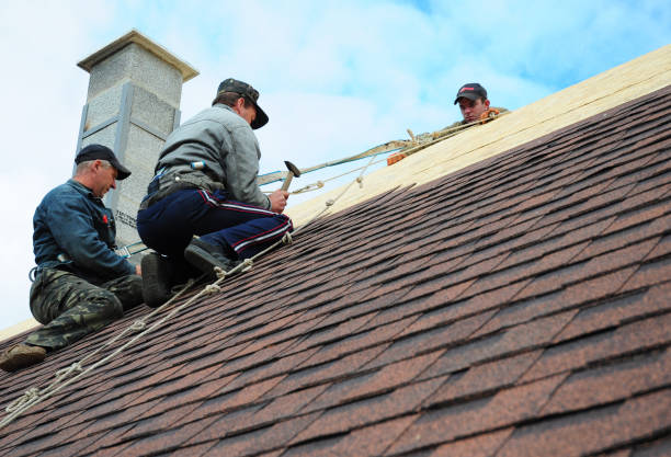 Best Shingle Roofing Installation  in Nashville, GA